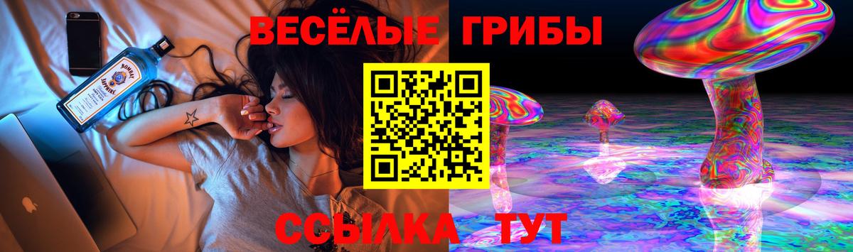 Псилоцибиновые грибы прущие грибы  Вход с VPN  Крымск 